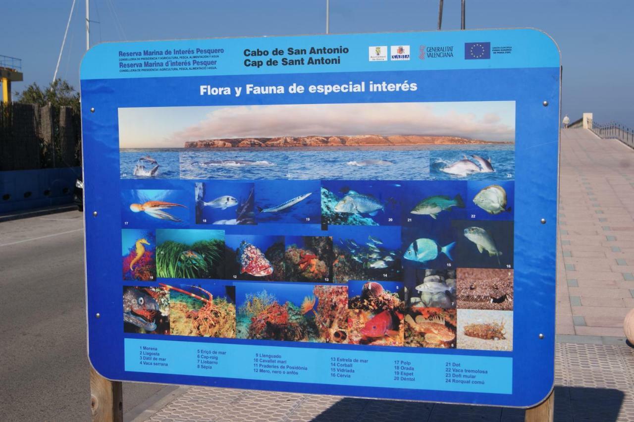 Apartamento Las Marinas II En Denia Bagian luar foto